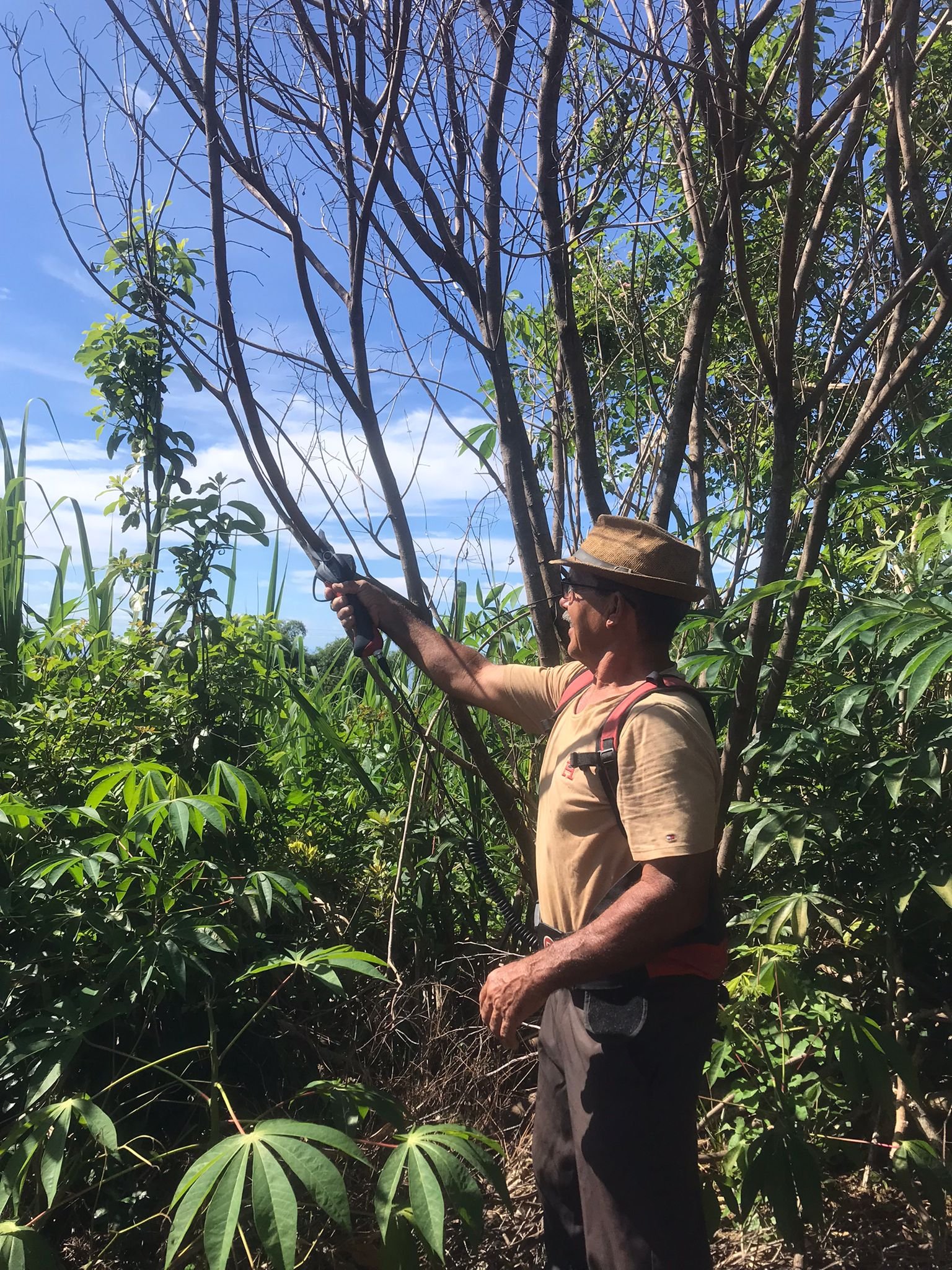 Henri Payet au travail dans la verdure