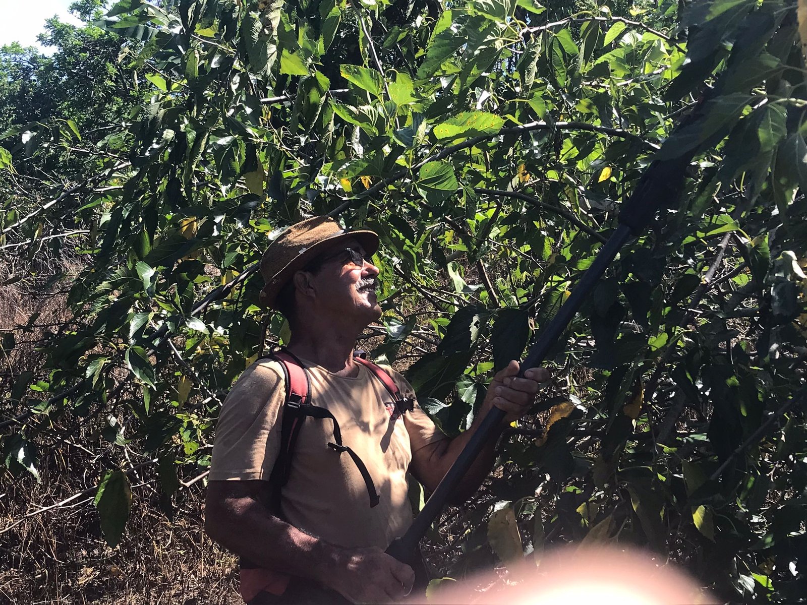 Henri Payet dans son exploitation à La Petite-Île